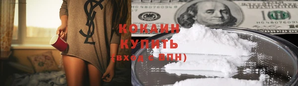 дживик Богородск