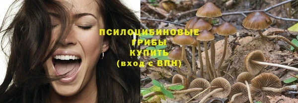 первитин Белокуриха