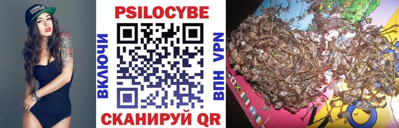 Галлюциногенные грибы MAGIC MUSHROOMS  магазин продажи   Видное 