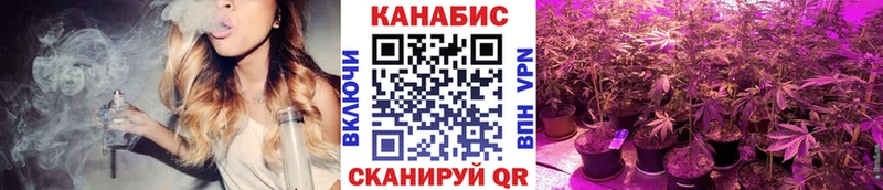 Каннабис ГИДРОПОН Видное